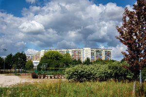 Pielęgnacja zieleni