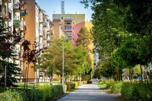 Pielęgnacja zieleni