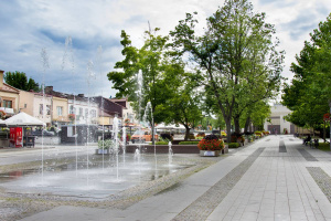 Pielęgnacja zieleni