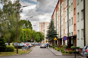 Pielęgnacja zieleni