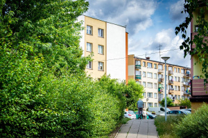 Pielęgnacja zieleni