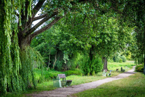 Pielęgnacja zieleni