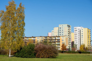 Pielęgnacja zieleni