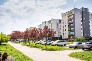 Pielęgnacja zieleni