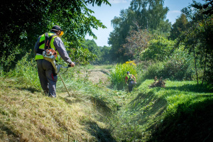 Pielęgnacja zieleni