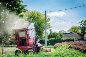 Pielęgnacja zieleni